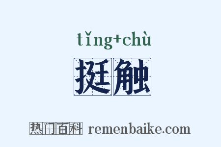 挺触是什么意思的图片